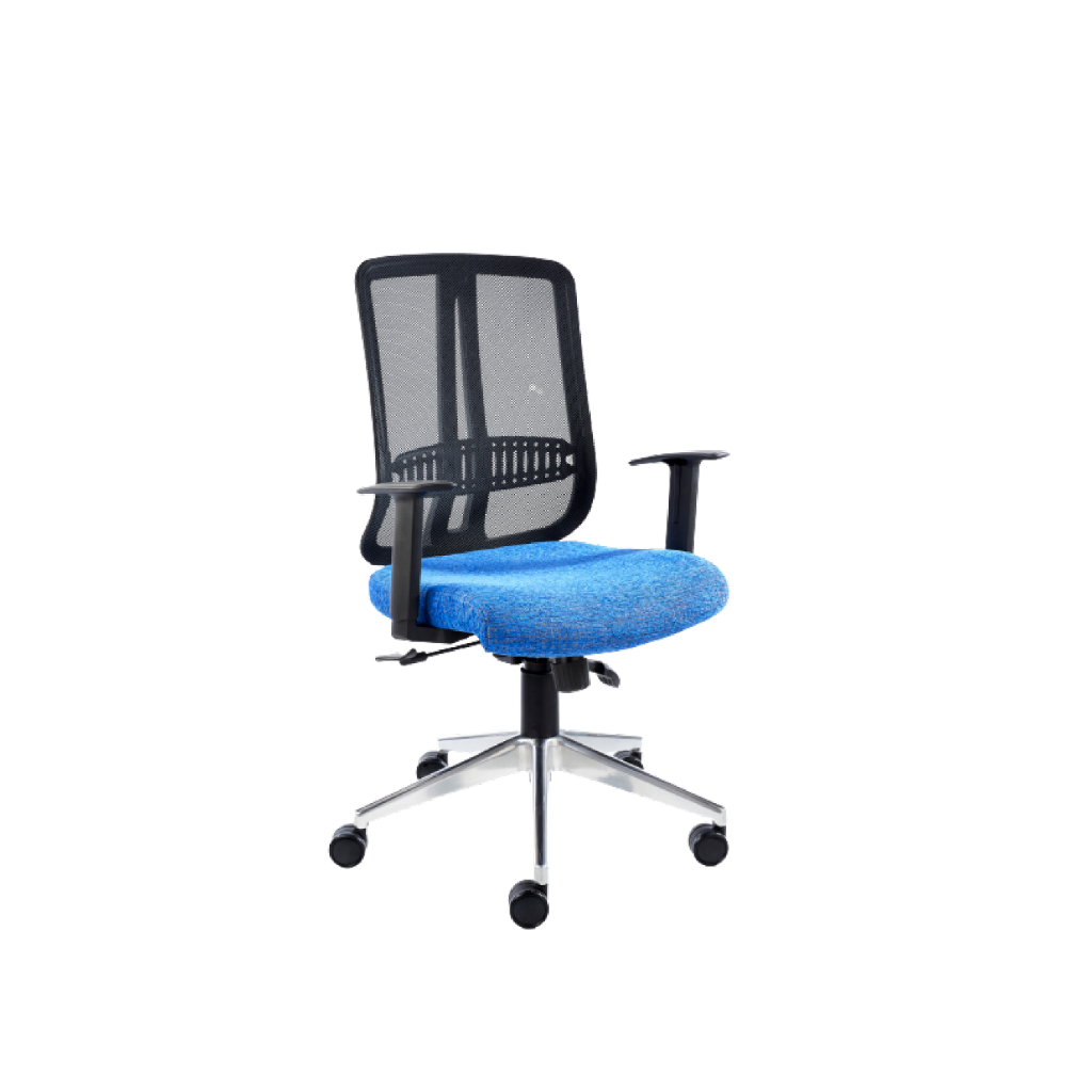 Medium Back Chair Sheesh Products