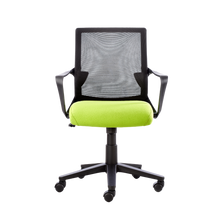 Load image into Gallery viewer, Medium Back - With Armrests
